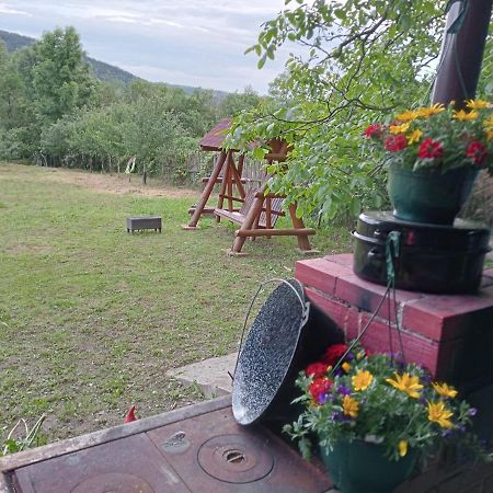 Hello Nature House - Cheile Nerei, Carasului, Garlistei Giurgiova Eksteriør bilde