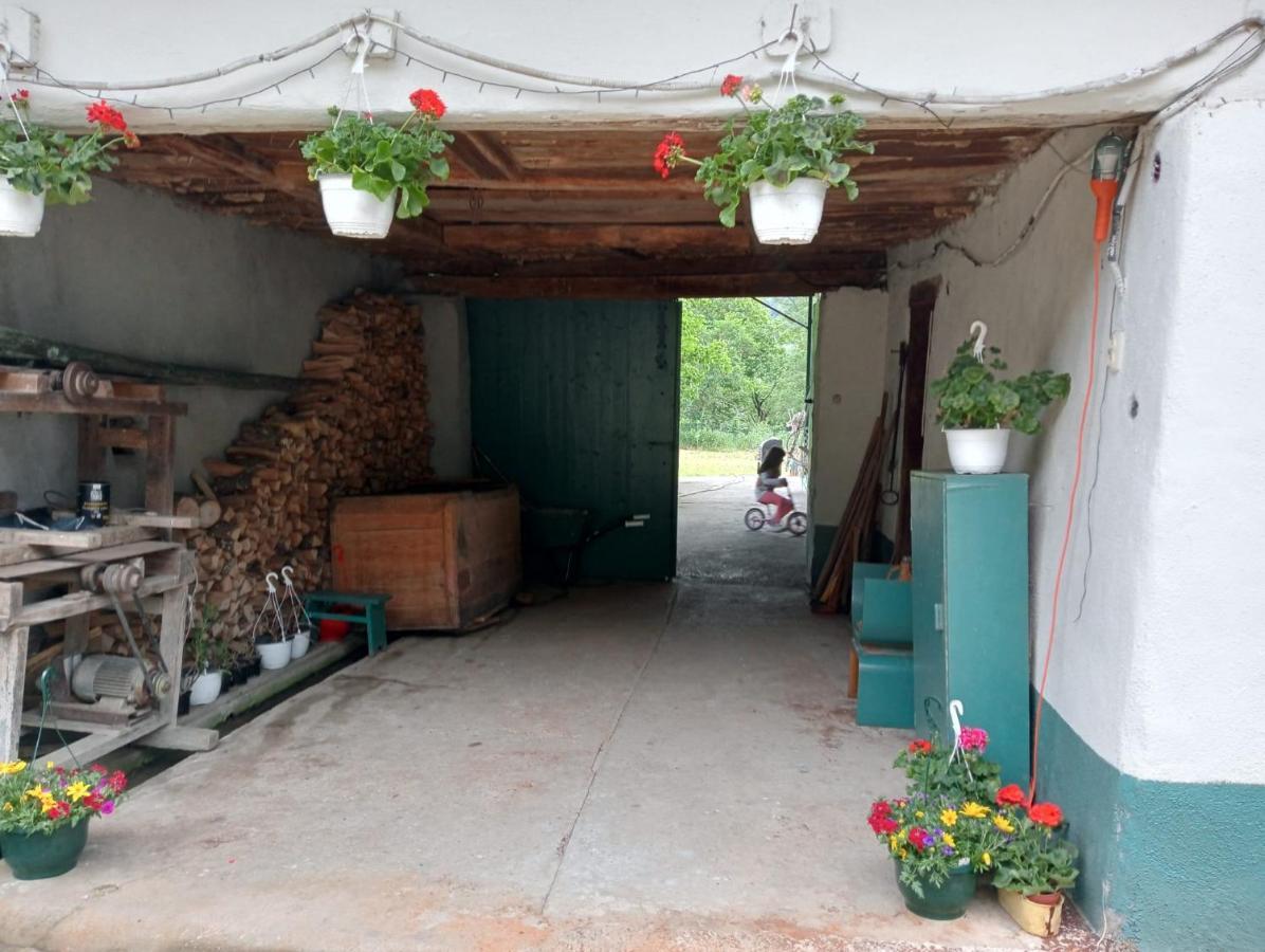 Hello Nature House - Cheile Nerei, Carasului, Garlistei Giurgiova Eksteriør bilde