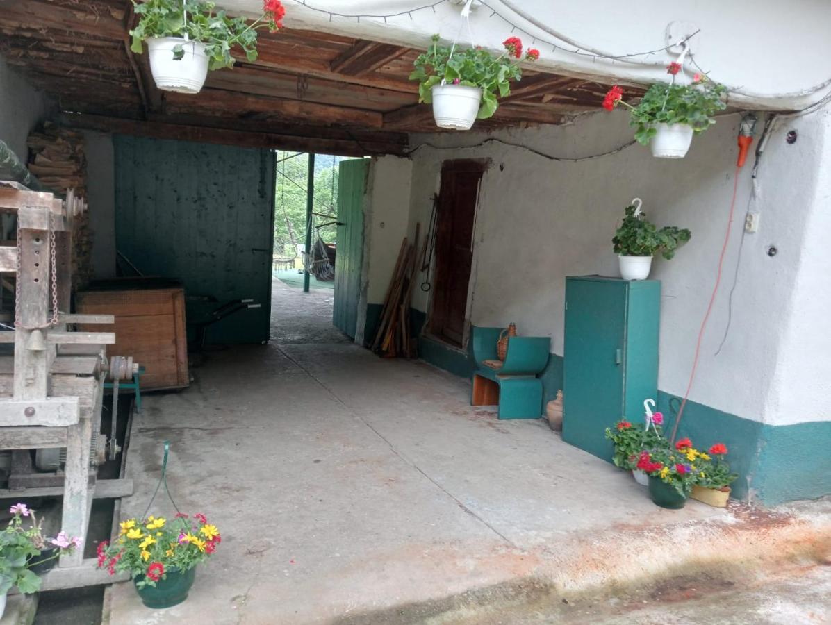 Hello Nature House - Cheile Nerei, Carasului, Garlistei Giurgiova Eksteriør bilde